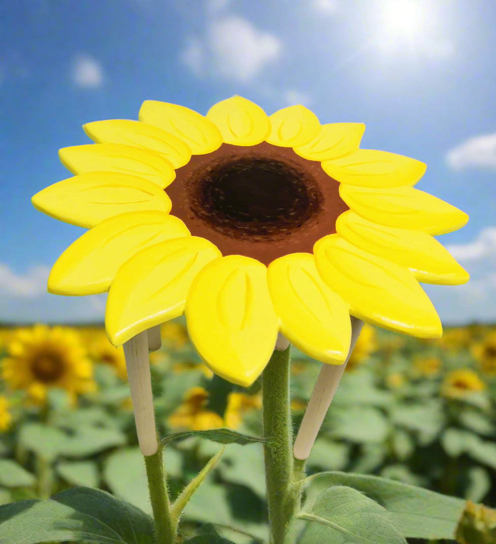 Sunflower platform