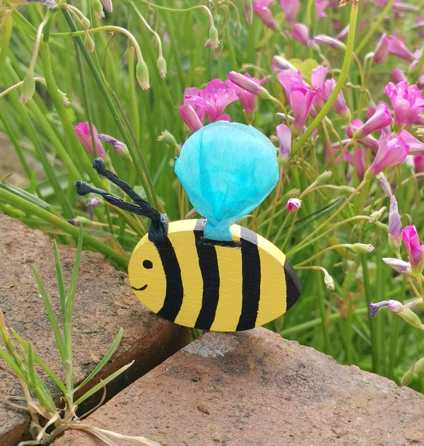 Bug friend Chew pops