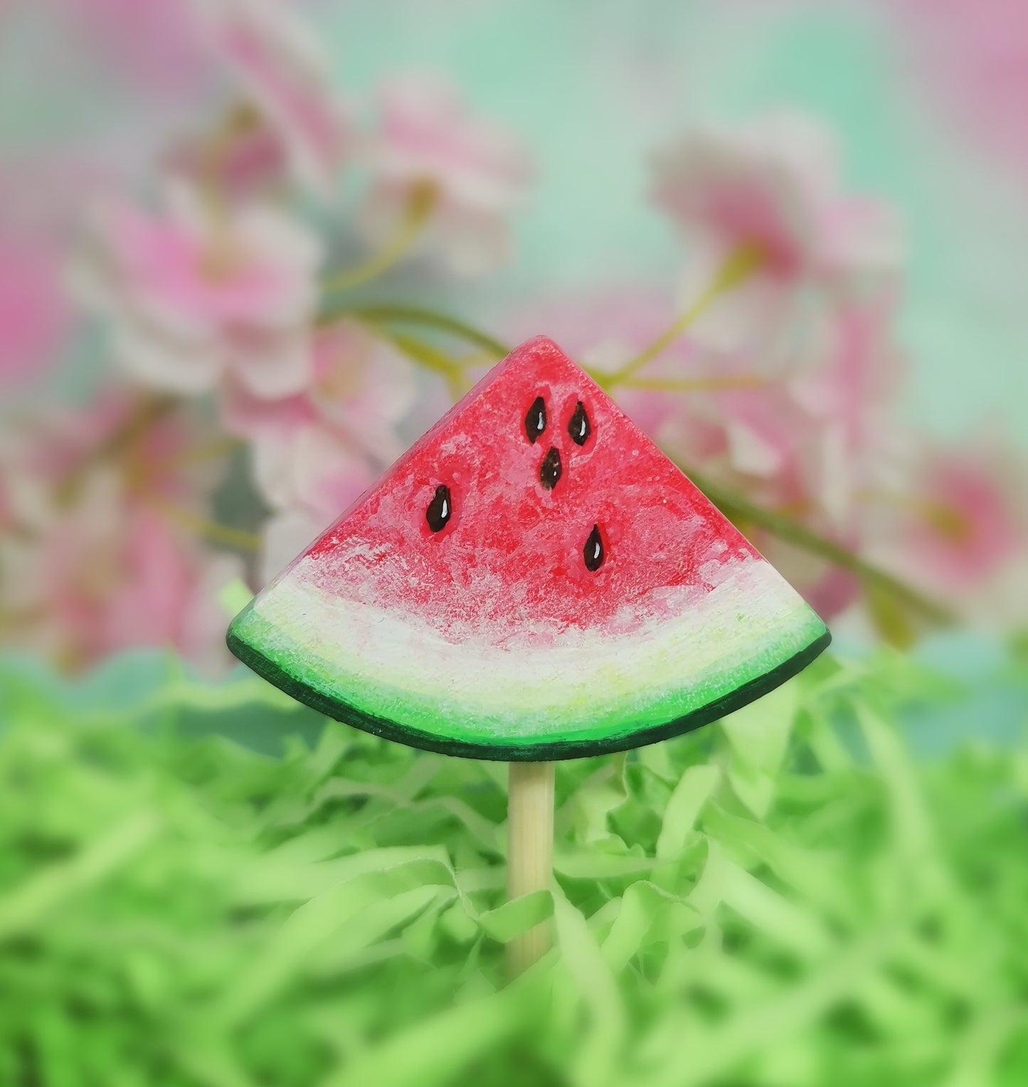 Watermelon chew pop