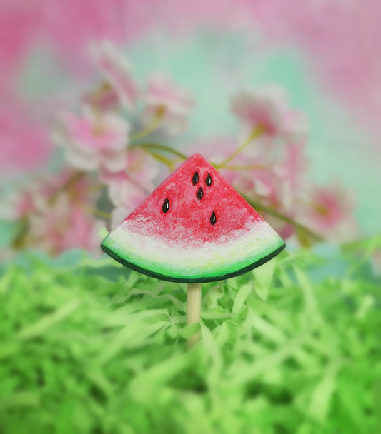 Watermelon chew pop