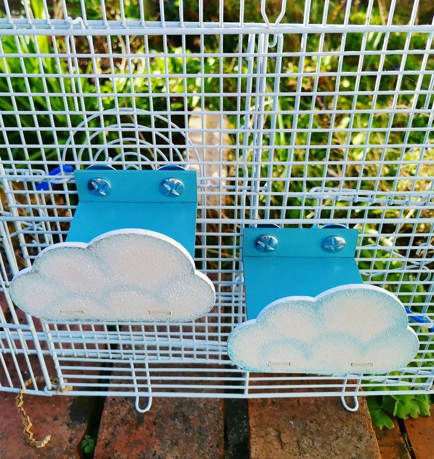 cloud small animal platform