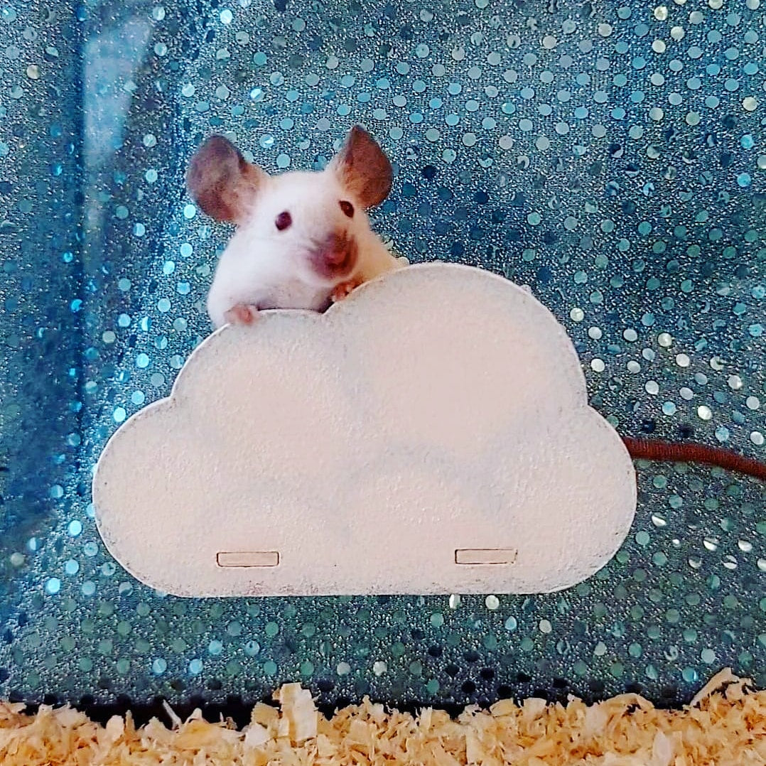 cloud small animal platform